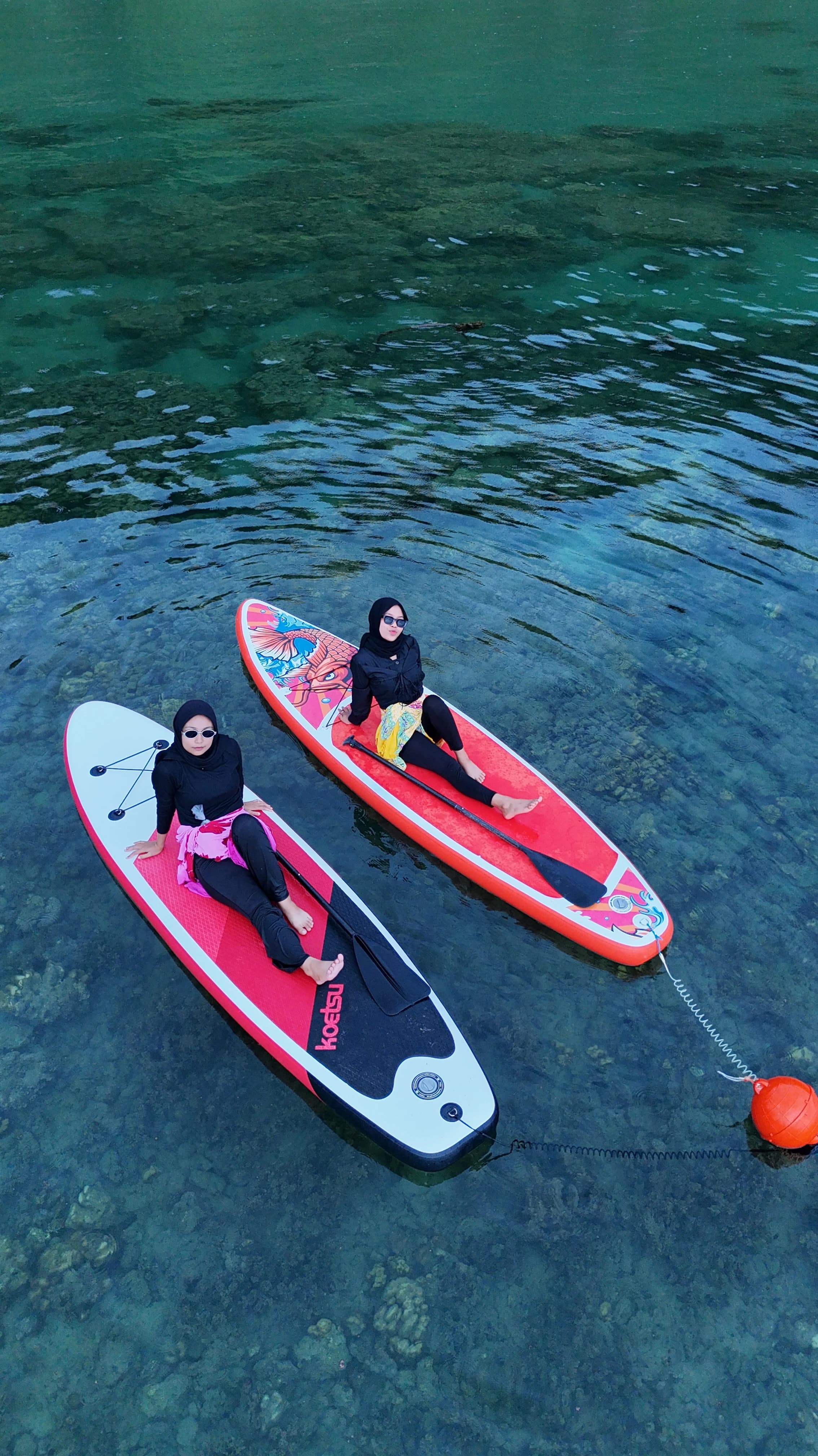Paddle Board